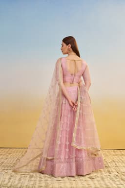 Pink Butterfly Net Engagement & Reception Lehenga with Thread Embroidery
