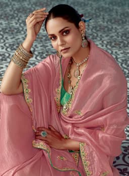 Blush Pink Tissue Saree with Embroidery Border