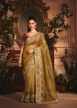 Olive Gold Tissue Saree with Heavy Zari Border