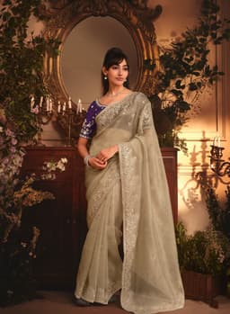 Champagne Beige Organza Saree with Silver Embroidery