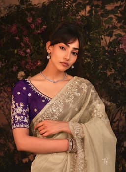 Champagne Beige Organza Saree with Silver Embroidery