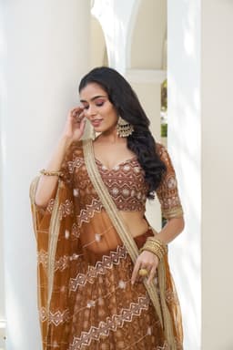 Brown Butterfly Net Lehenga Choli
