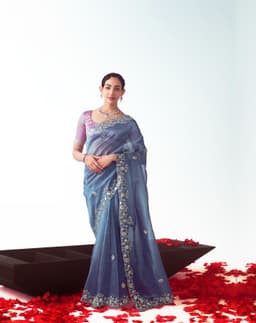 Steel Blue Handwork Reception Saree