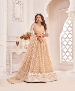 Nude Beige Net Lehenga Choli
