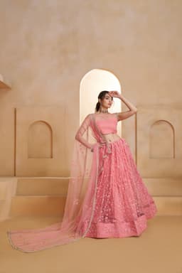 Pink Butterfly Net Designer Lehenga Choli