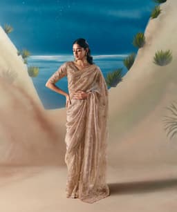 Champagne Party Wear Satin Organza Saree