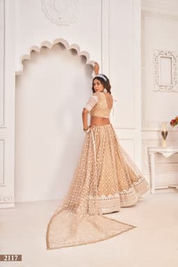 Nude Beige Net Lehenga Choli