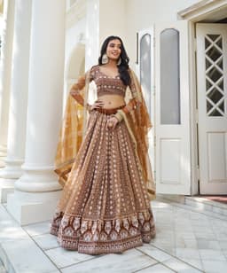 Brown Butterfly Net Lehenga Choli