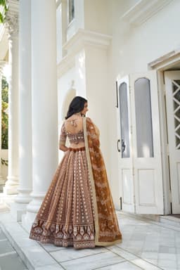 Brown Butterfly Net Lehenga Choli