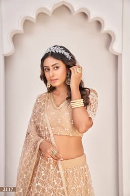 Nude Beige Net Lehenga Choli